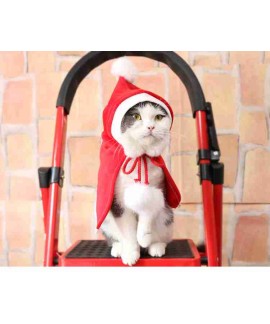 New Year Christmas Teddy pet cat and dog fleece re...