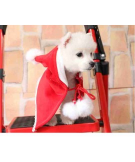 New Year Christmas Teddy pet cat and dog fleece red hood cape costume