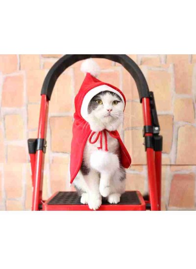 New Year Christmas Teddy pet cat and dog fleece red hood cape costume