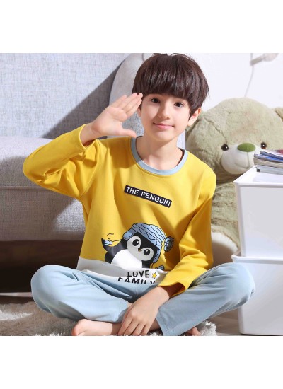 long sleeves Boys' cotton soft pajamas for spring comfy pj set children