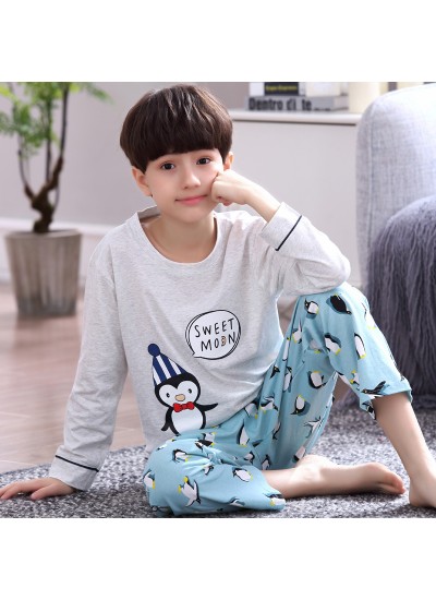 boys Cartoon long sleeve  Cotton pajamas for autumn pyjamas