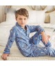 pure cotton long sleeves Boys' pajamas for spring ...