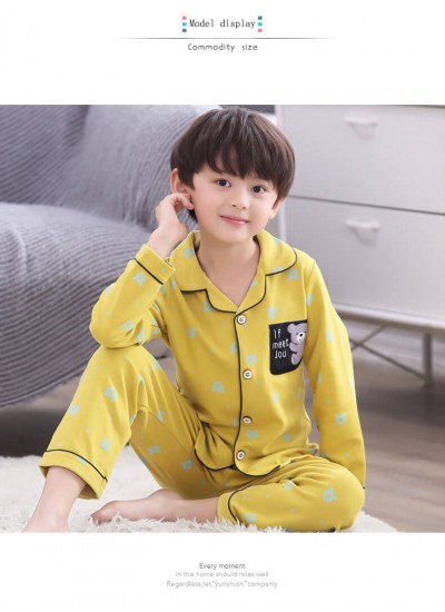 Long sleeves 100 cotton Boys' pajama set for spring cheap set of pajamas for children